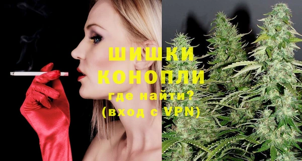 шишки Алзамай