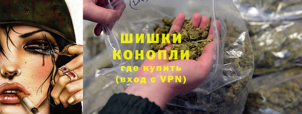 шишки Алзамай